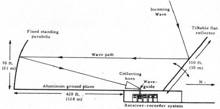 Signal